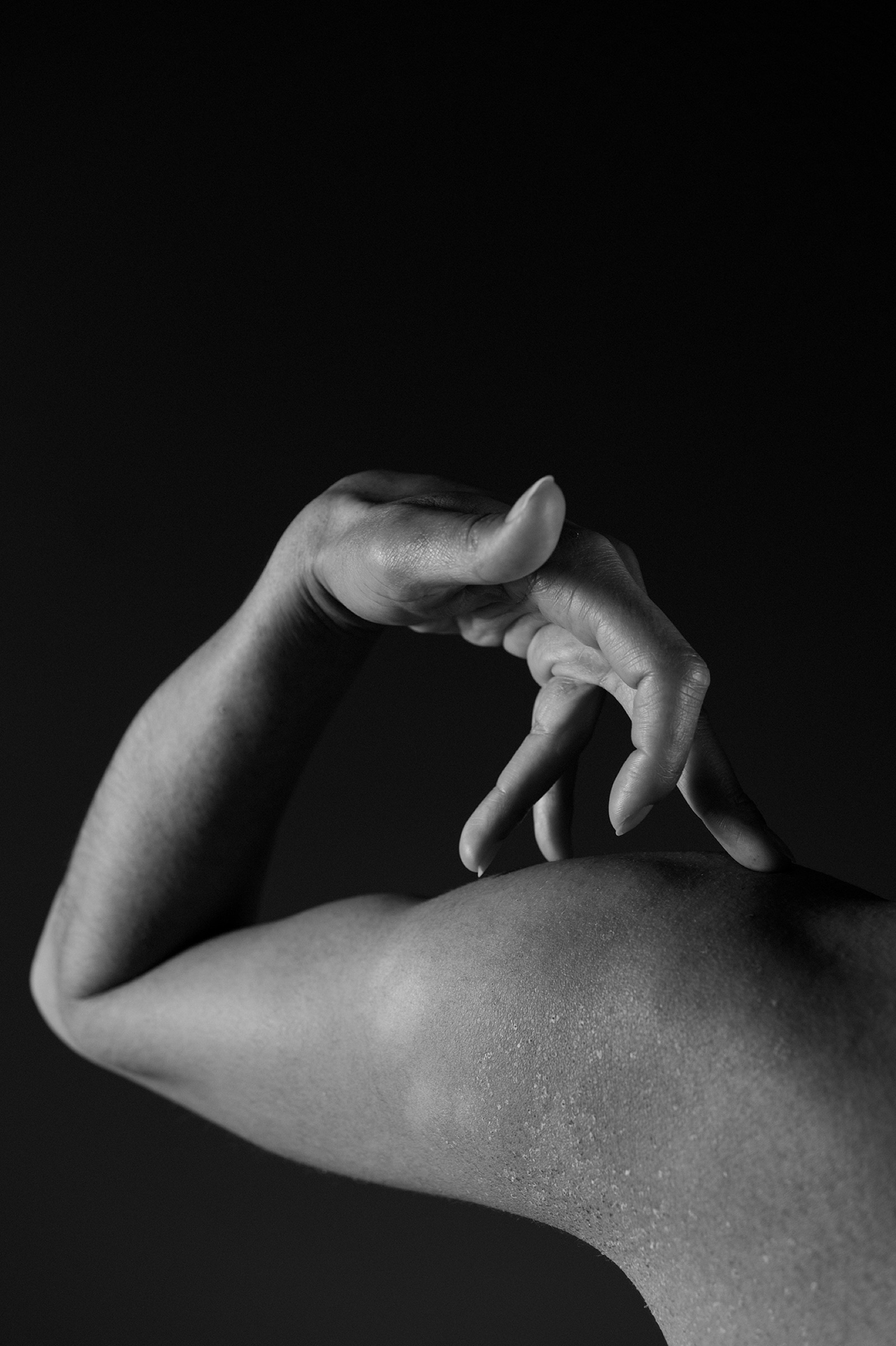 Portfolio Story 19 von Vera Elma Vacek